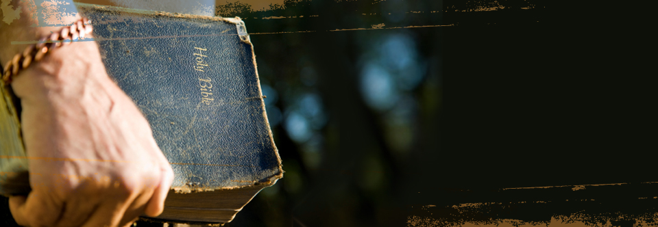 Growing in the Word